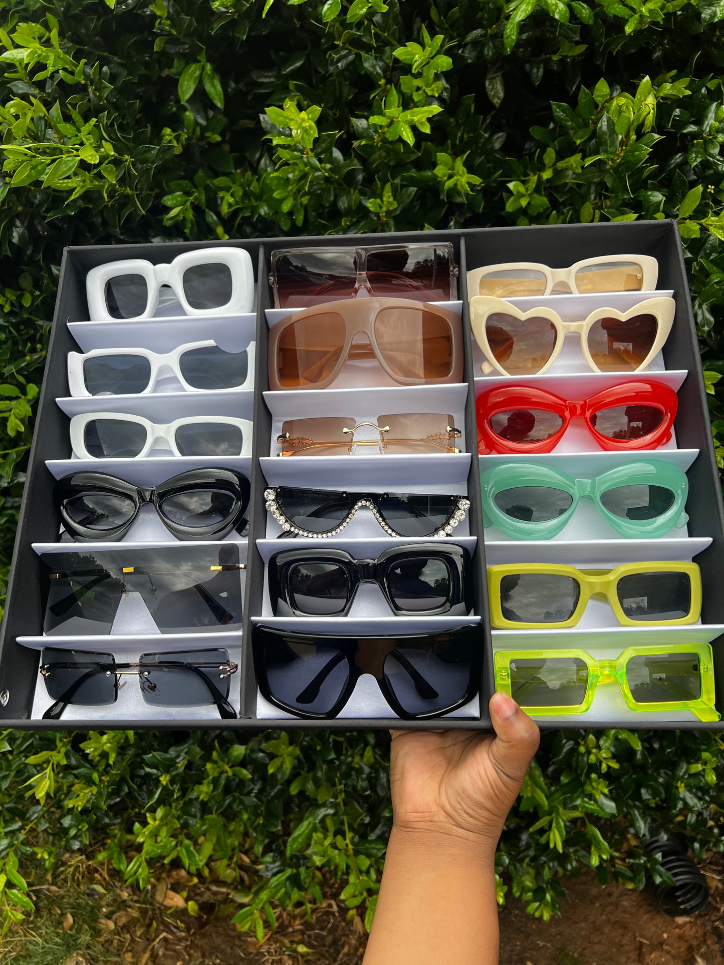 Sunglasses Collection